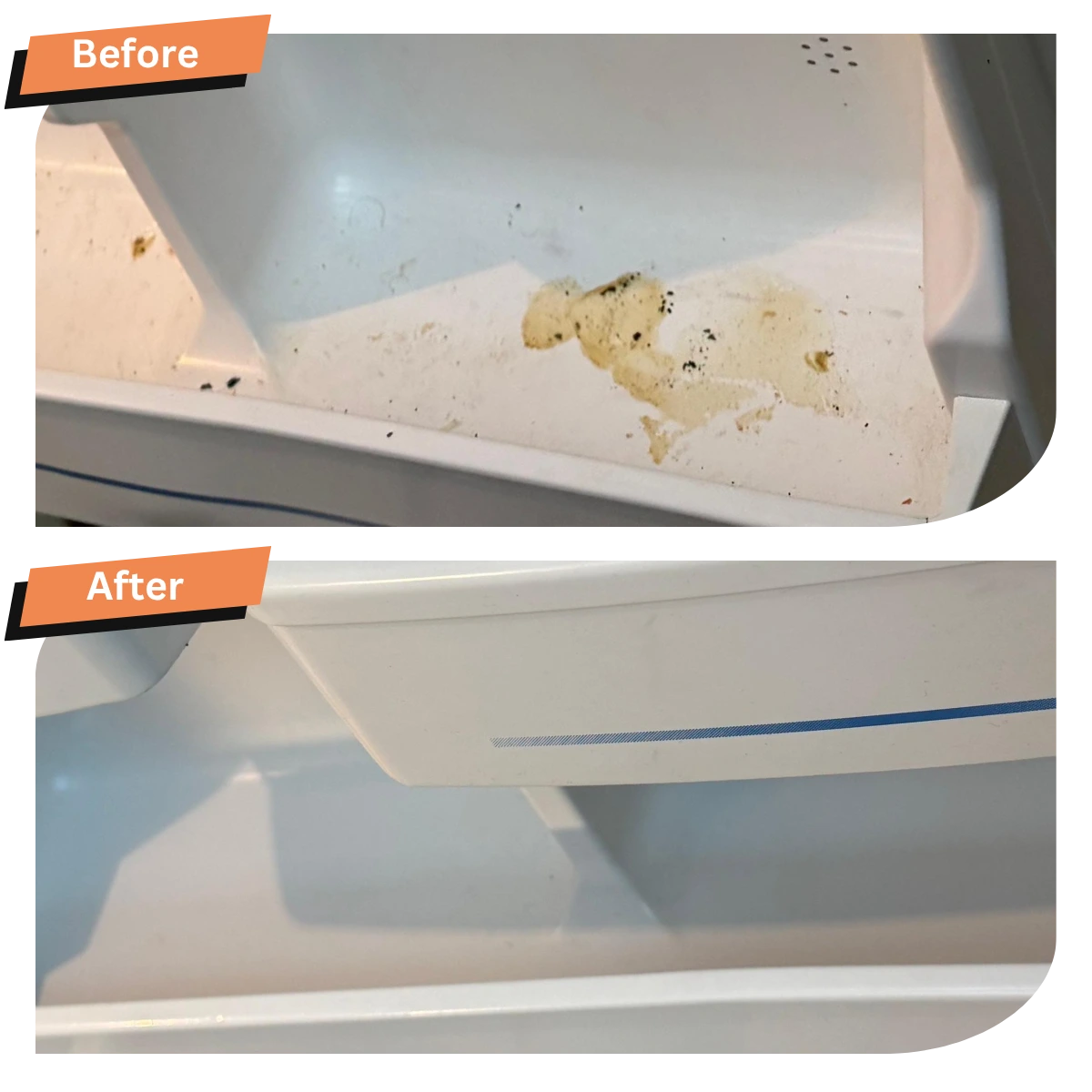 Fridge Deep Clean